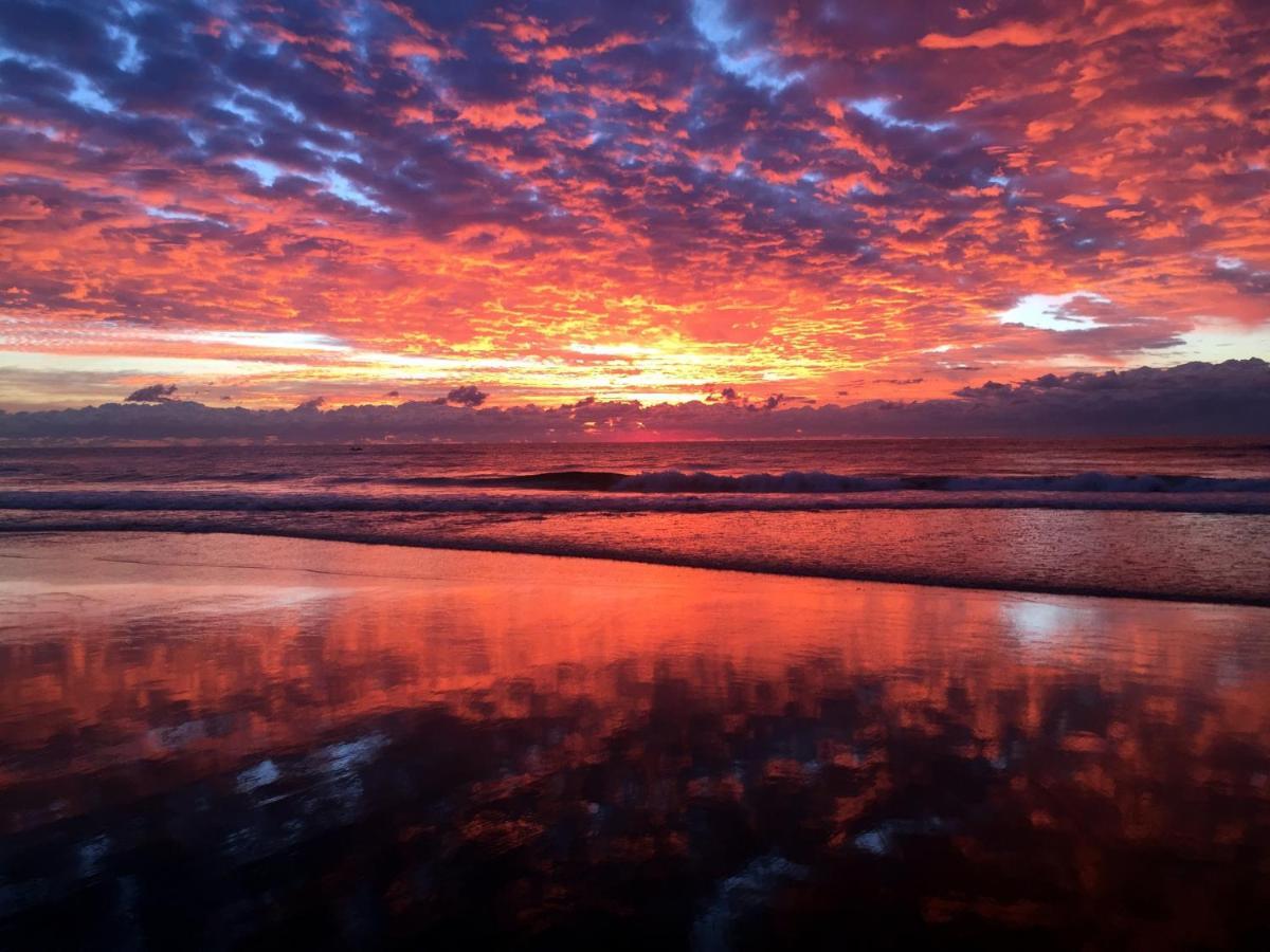 Beachside/ Paradise Best Views Gold Coast Eksteriør billede